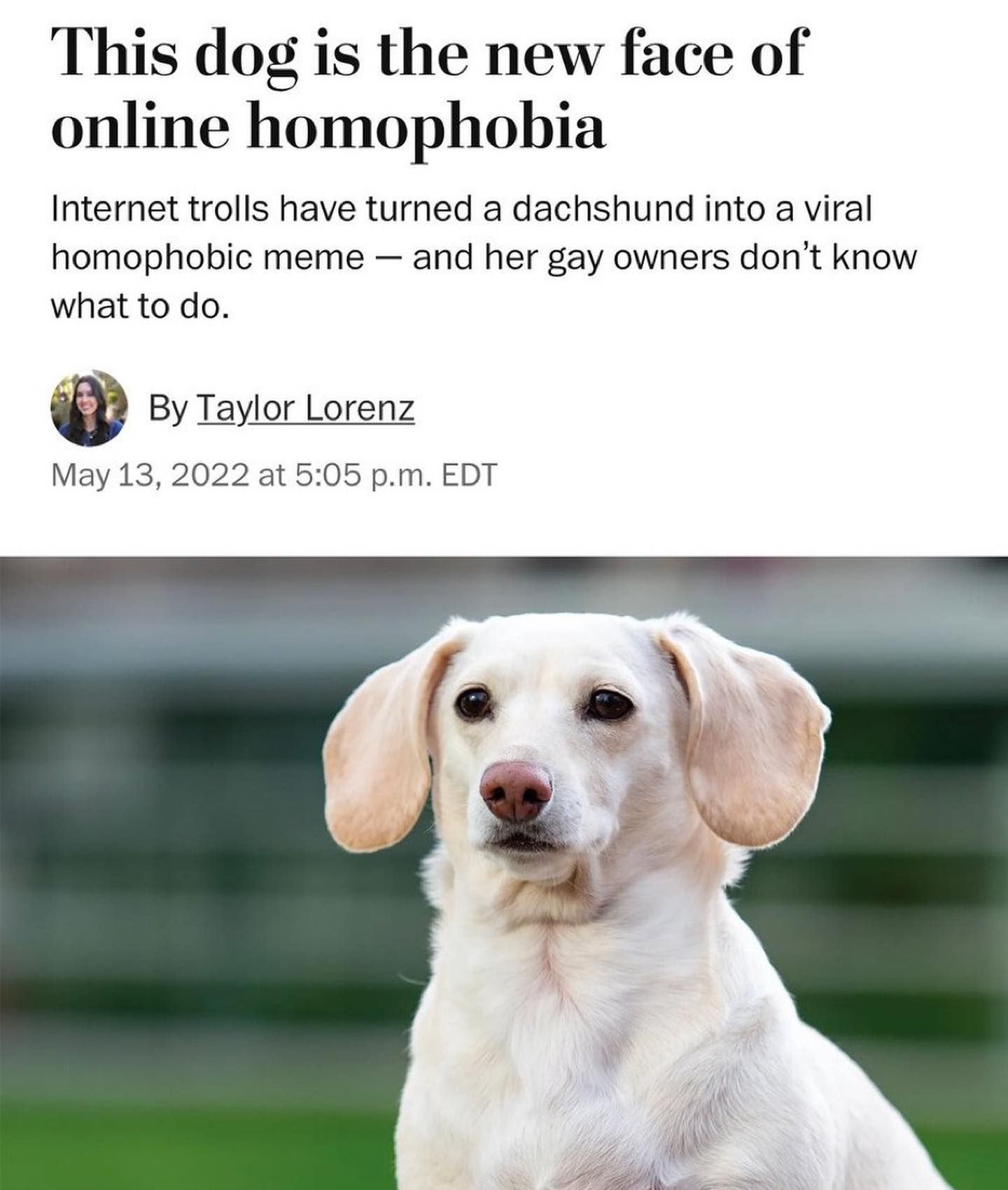 What da journalist doin?