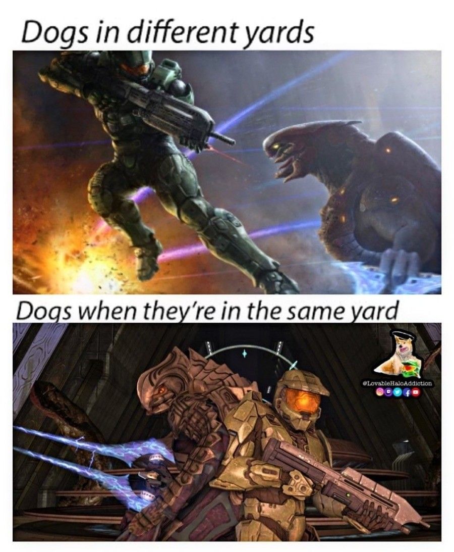 dos