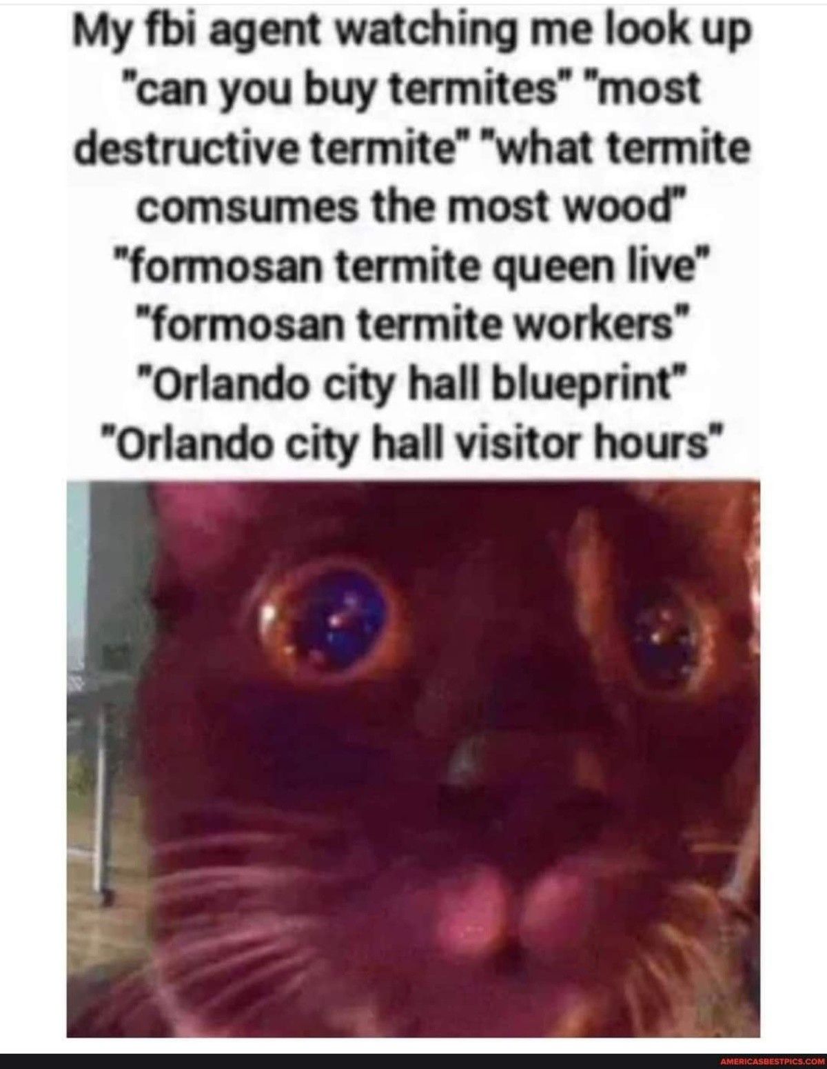 city hall