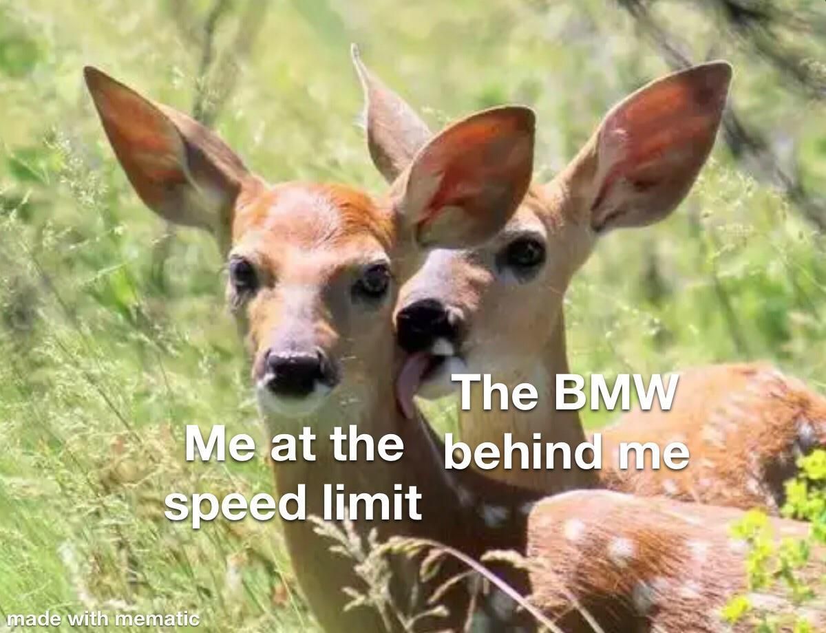 Typical BMW