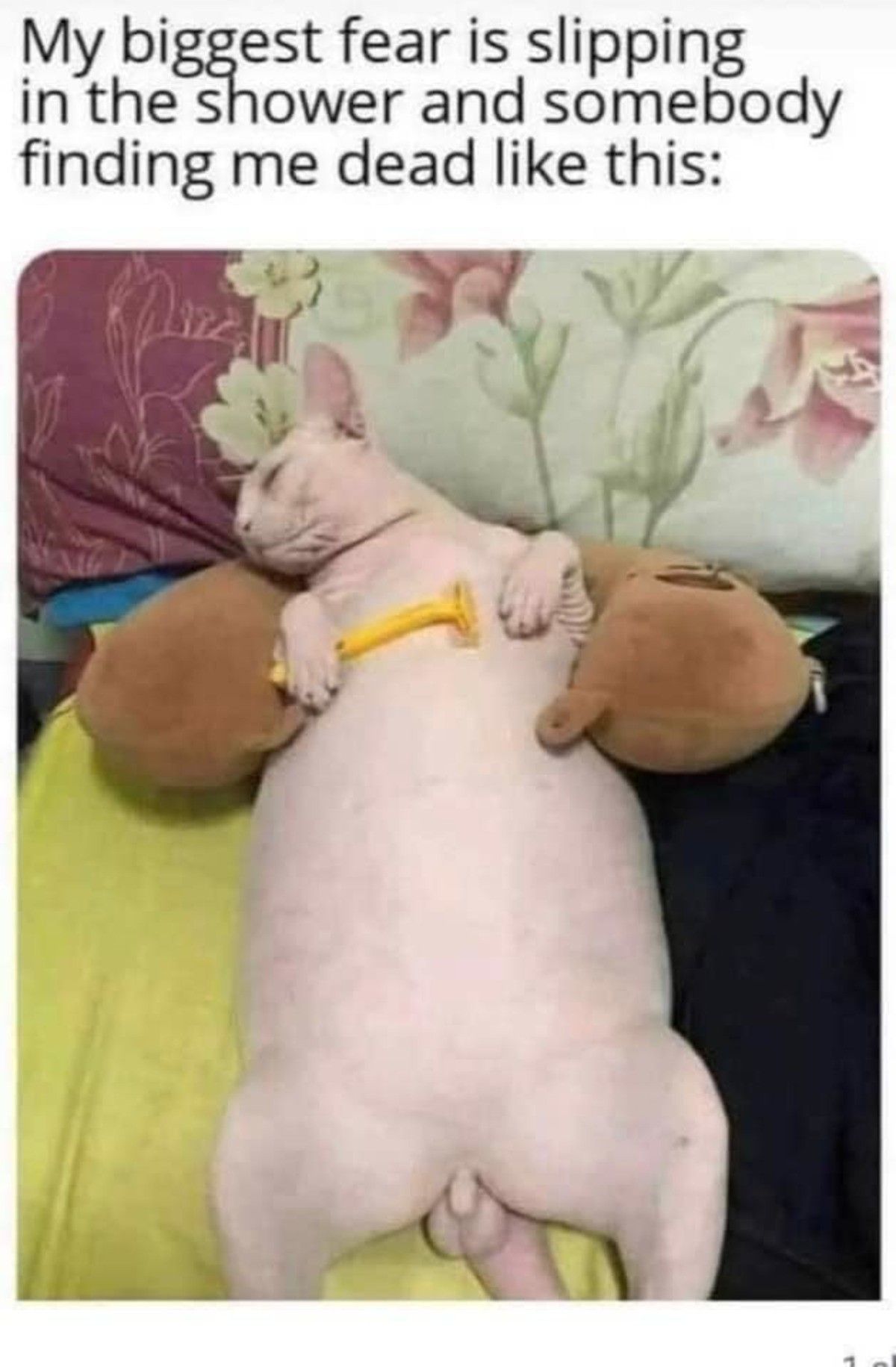 ded