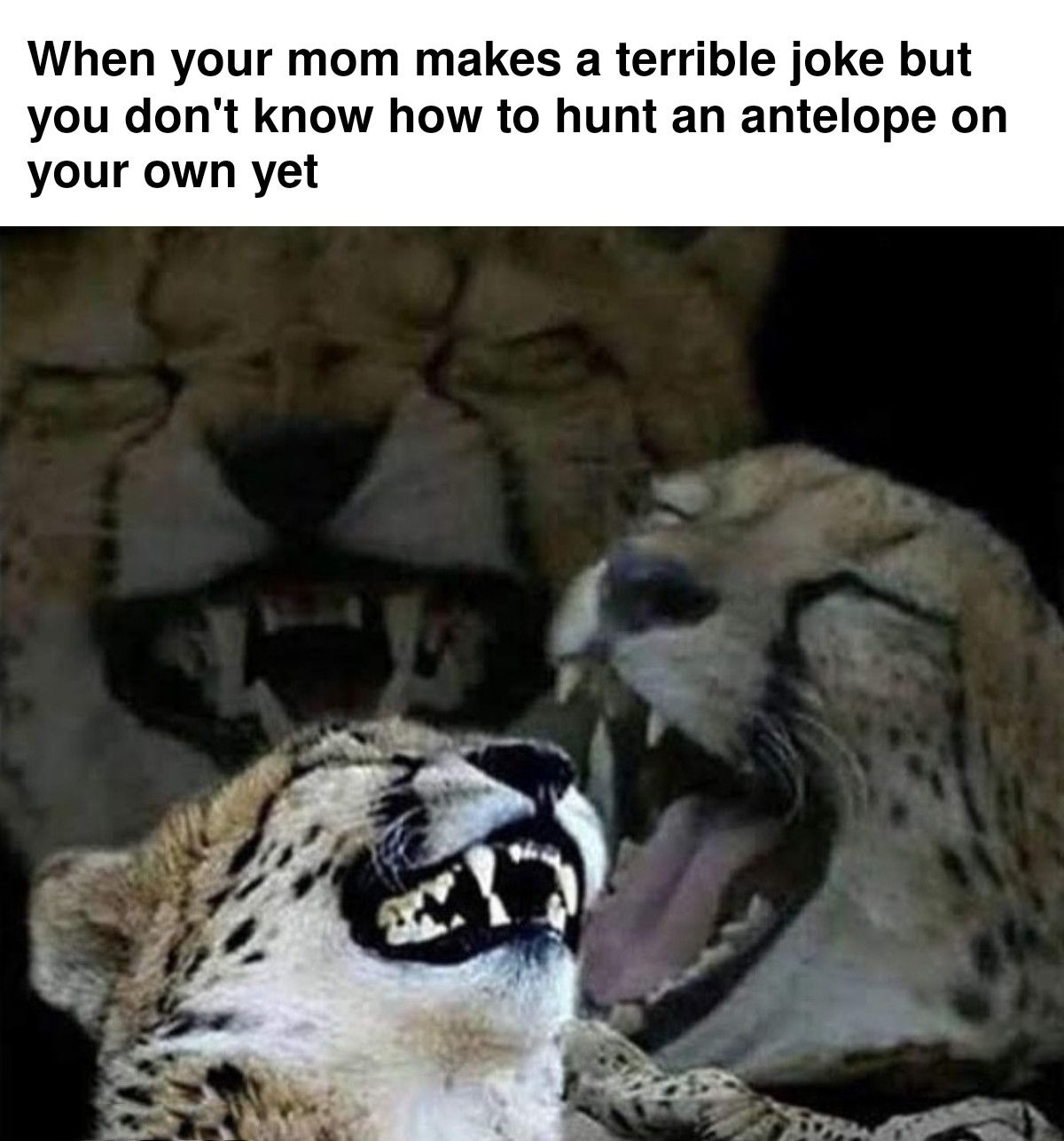 old