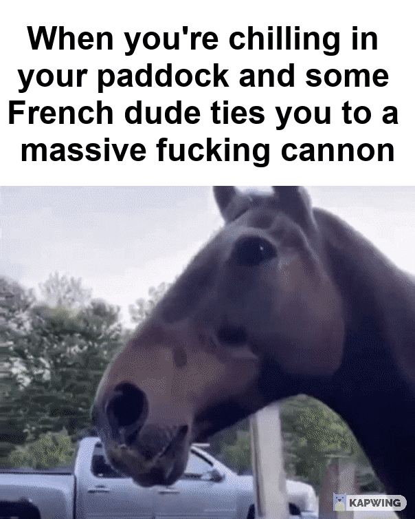 Napoleonic Wars artillery horses be like