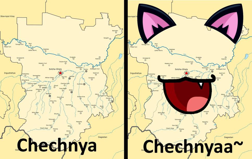 OwO