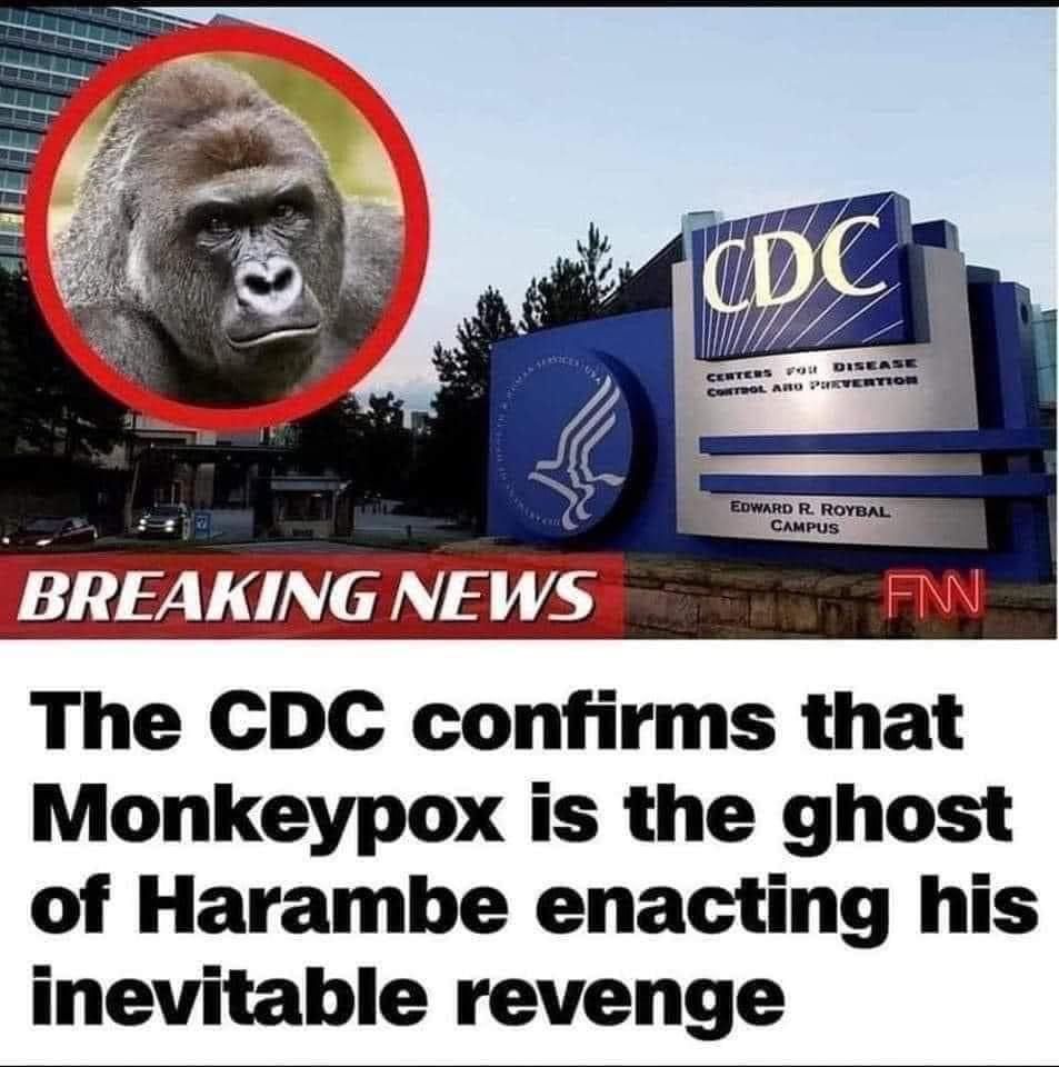 It's all "dicks out for Harambe" until the genital sores start showing up.