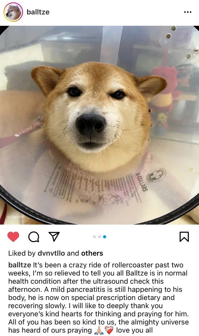 healmthy