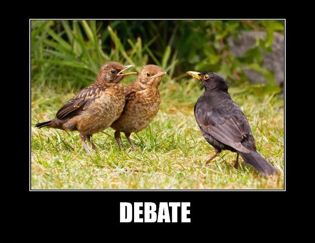 debate