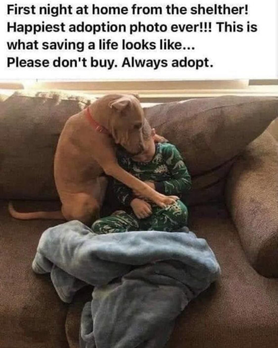 It’s almost as if that kid has lived there the whole time. Even the dog is accepting of him.
