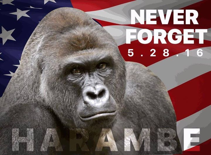 6 years since the timeline was altered forever