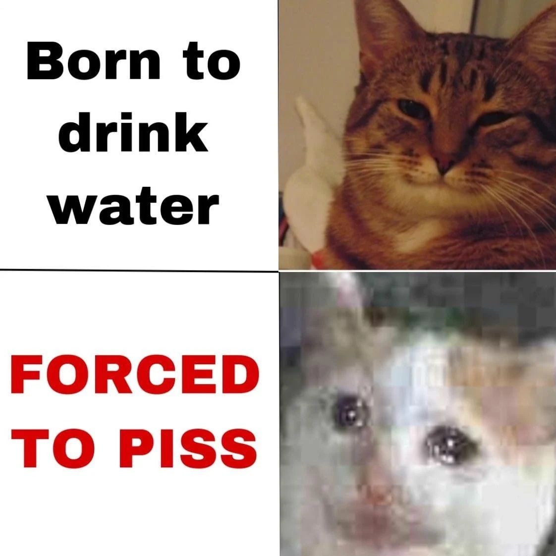 ***