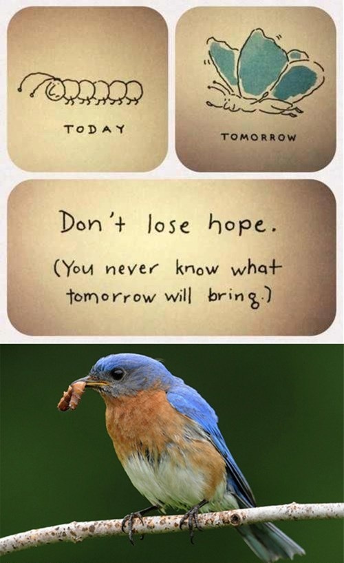 It gets better