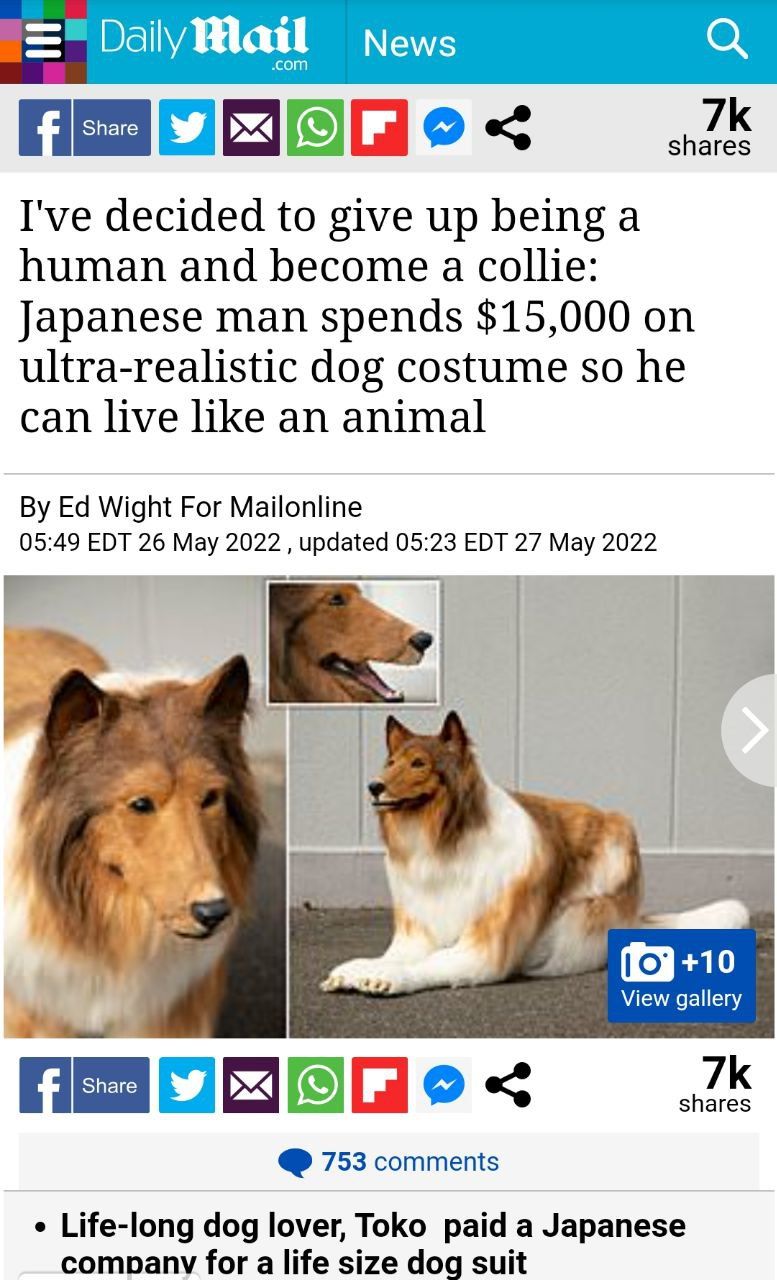 His pronouns are woof/woof