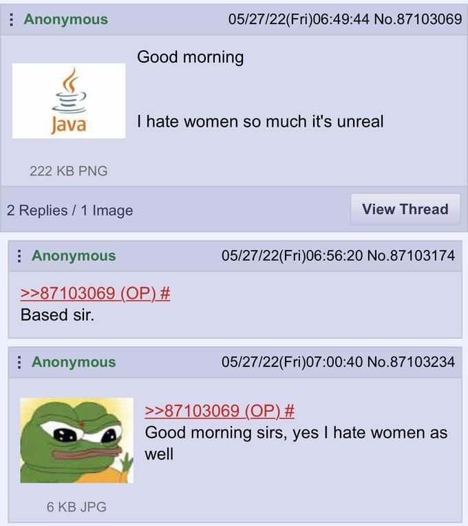"Yes, I'm a Java developer... how did you know I have no interest in women?"