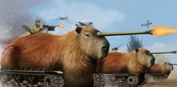 the capybara tank