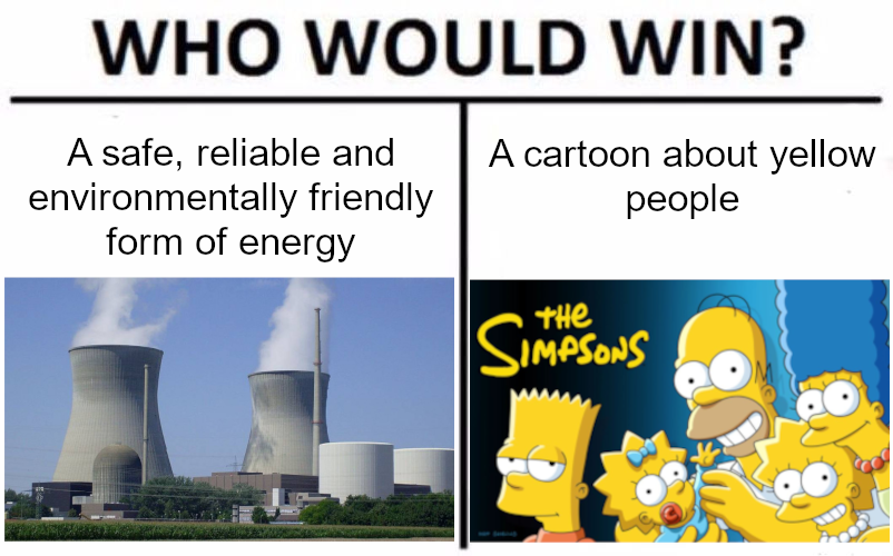 The Simpsons and its consequences have been a disaster for the environmentalist cause