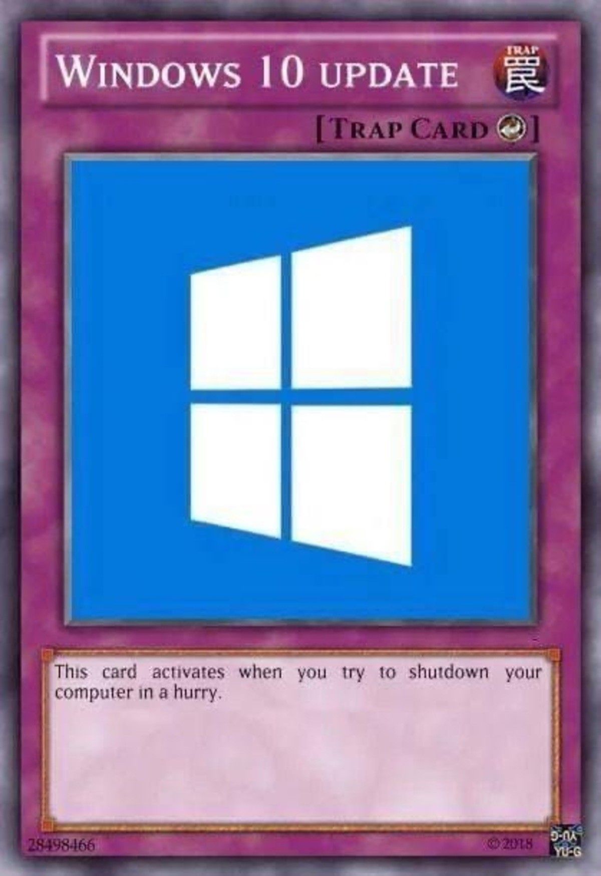 windows 11