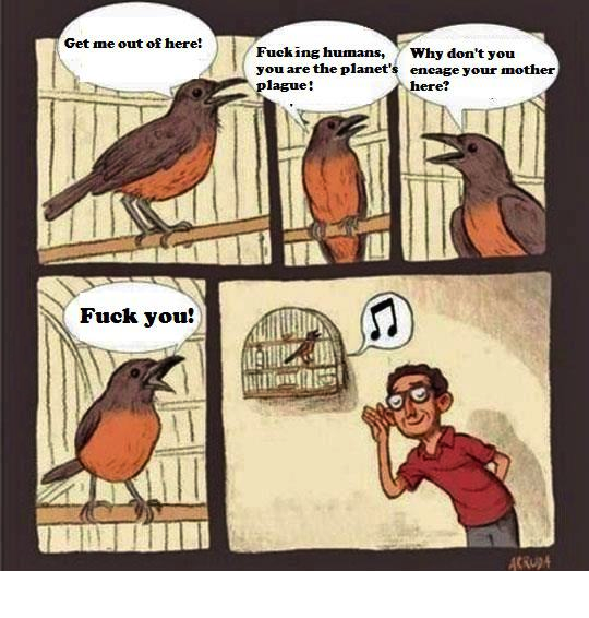 Finally, the Truth