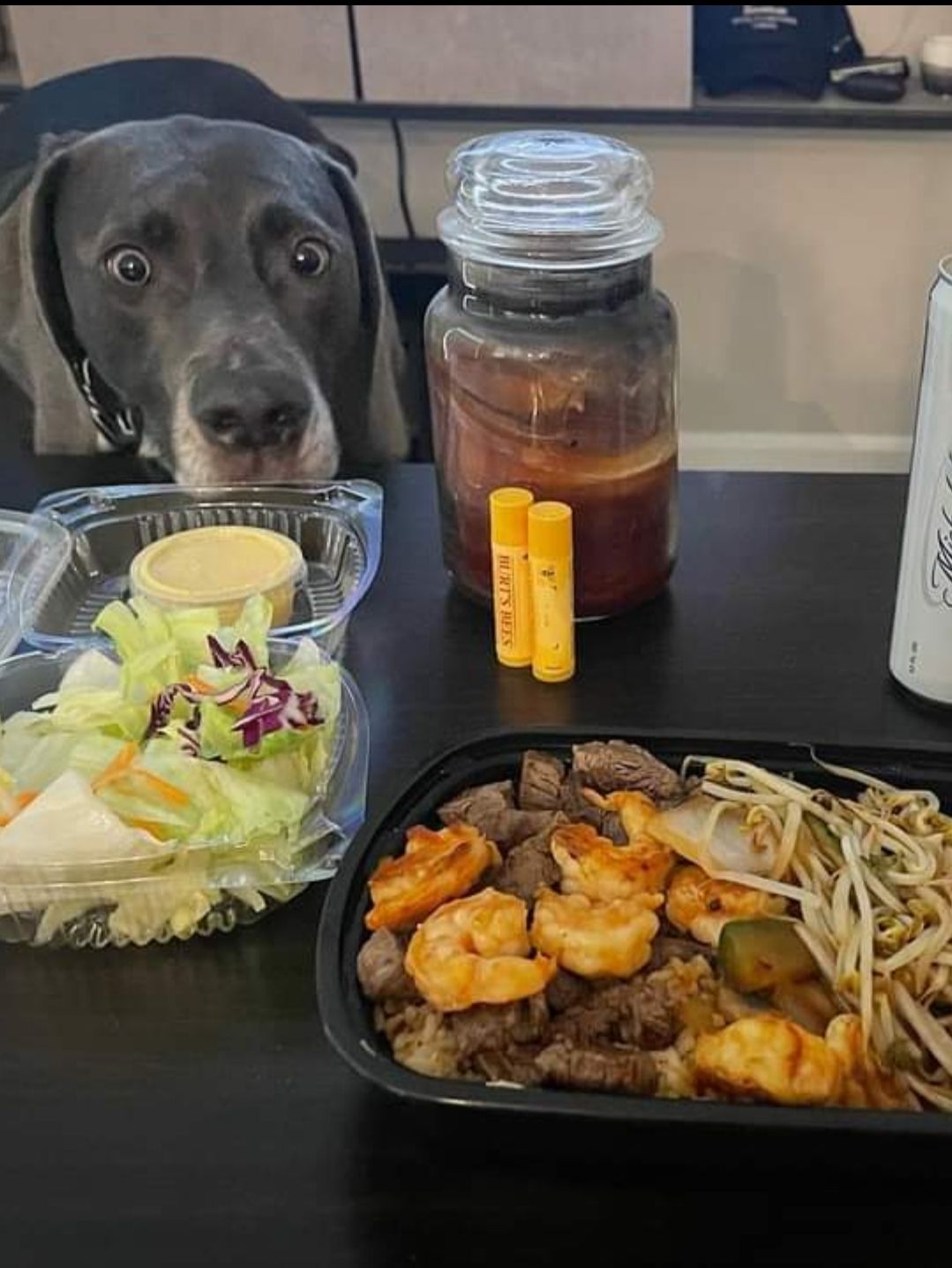 My buddy got hibachi for dinner. His dog is VERY interested.