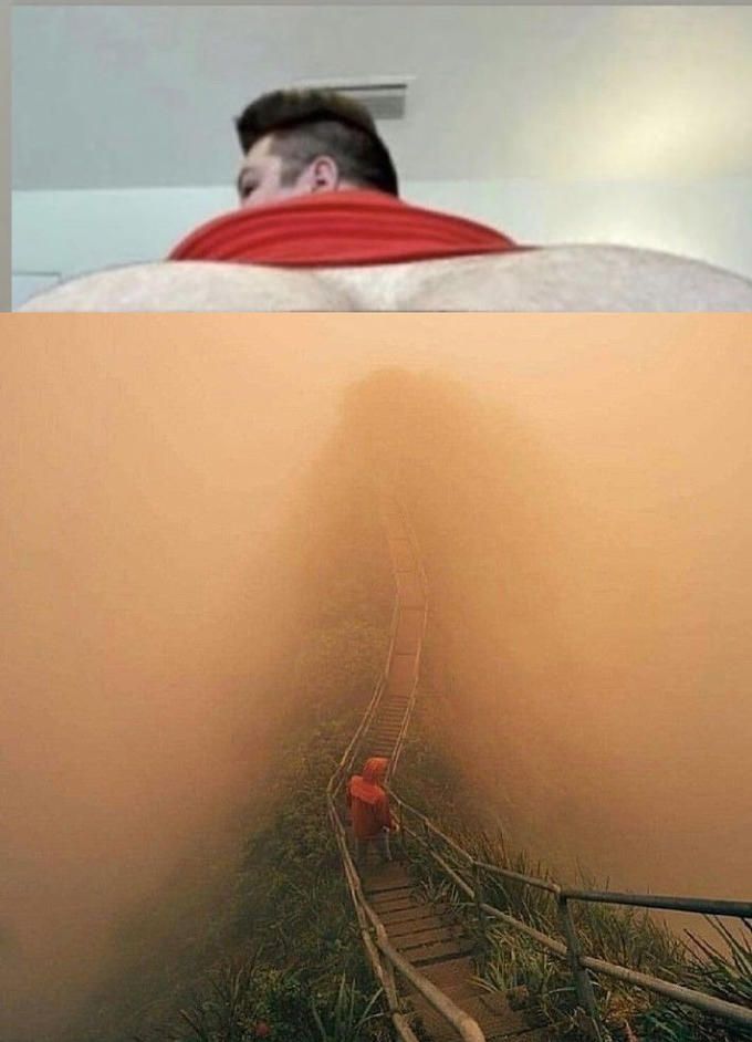 So that's where avocados grow