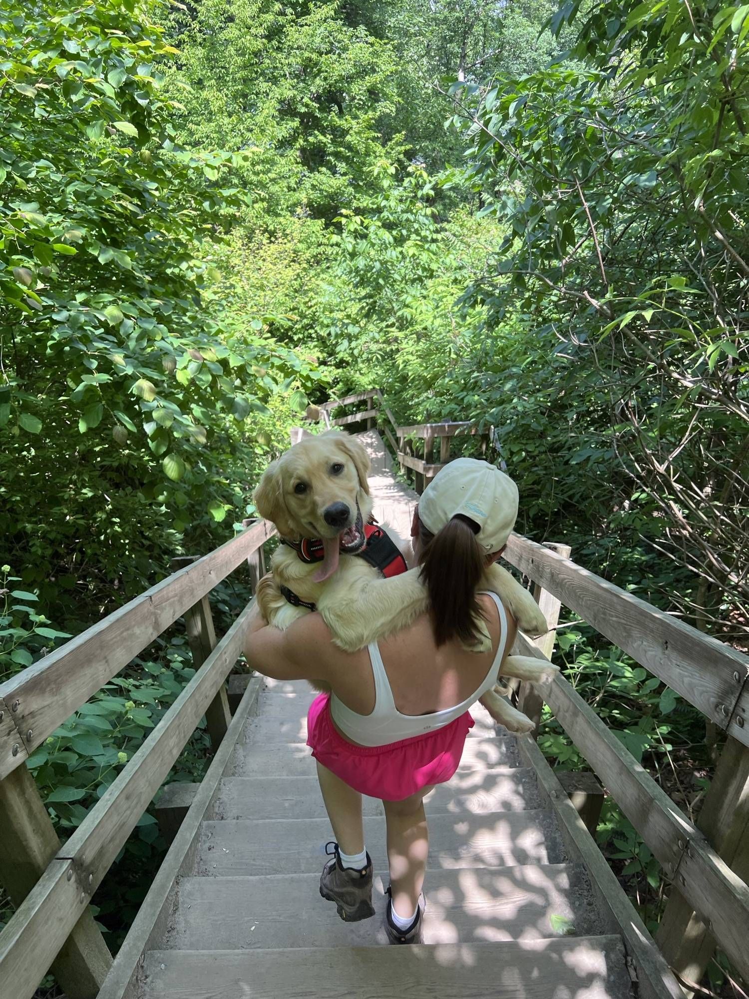 Hikes are easy, especially when mom does the hard parts