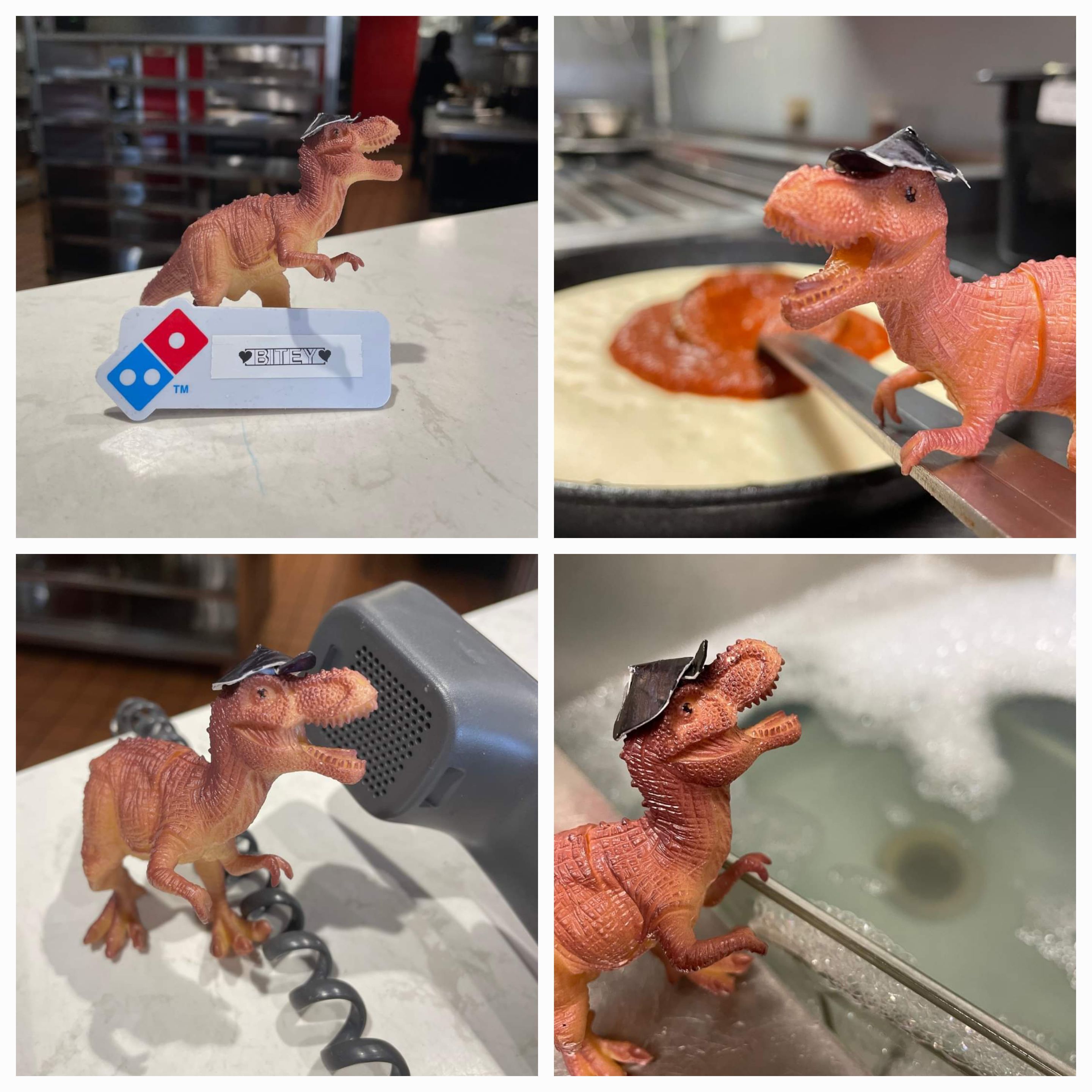 A child left their toy 'Bitey' at a local pizza shop. So they put him to work before he was collected the next day.