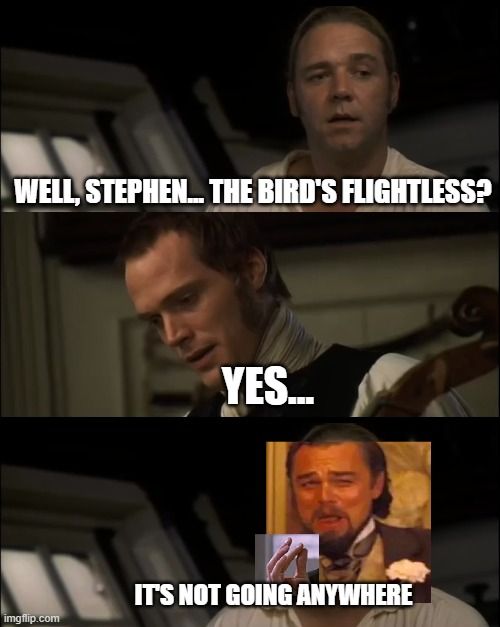 tiny violin intensifies
