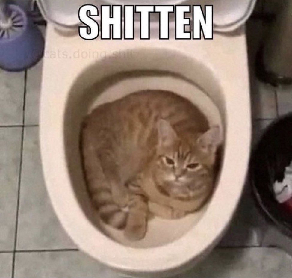 Shitten