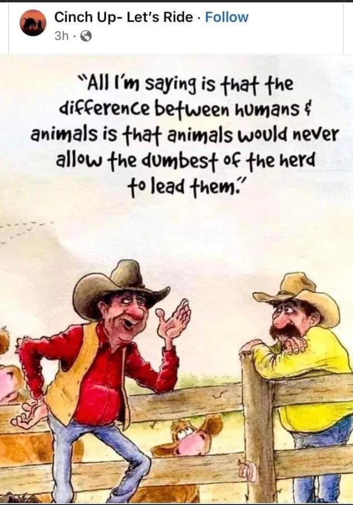 It may be boomer but damn it is true