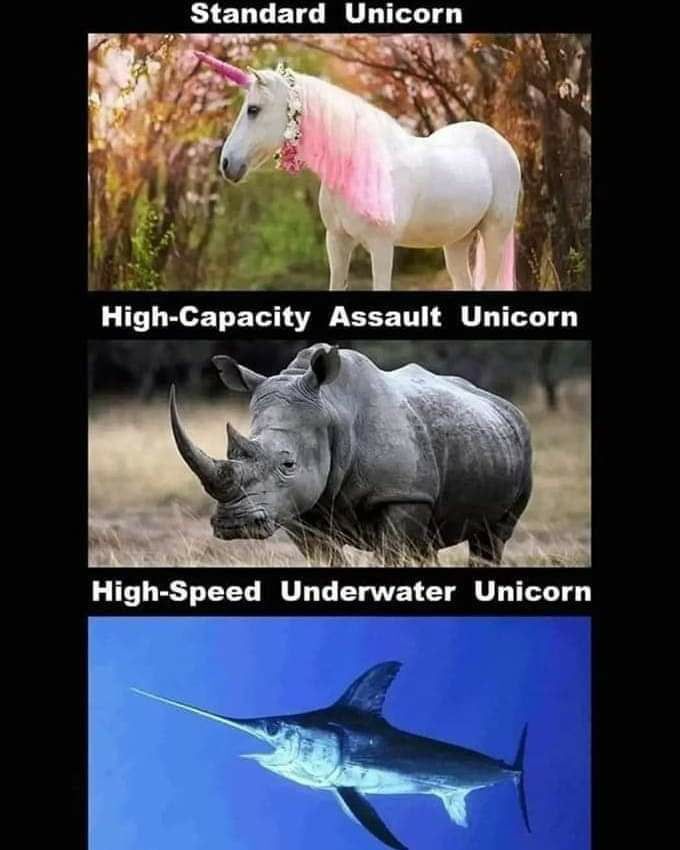Know your unicorn