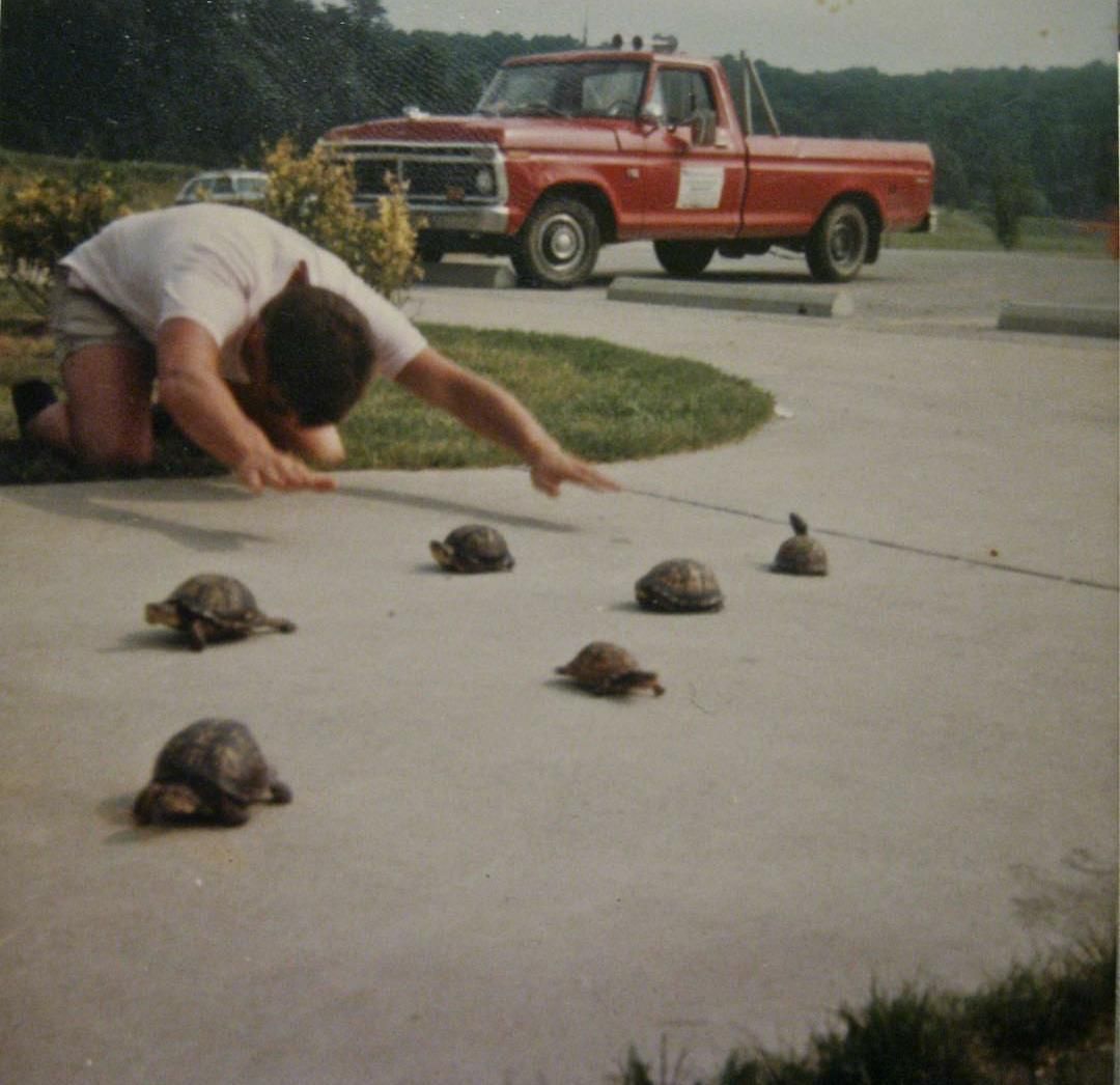 The Rise of Tortoises, 1990
