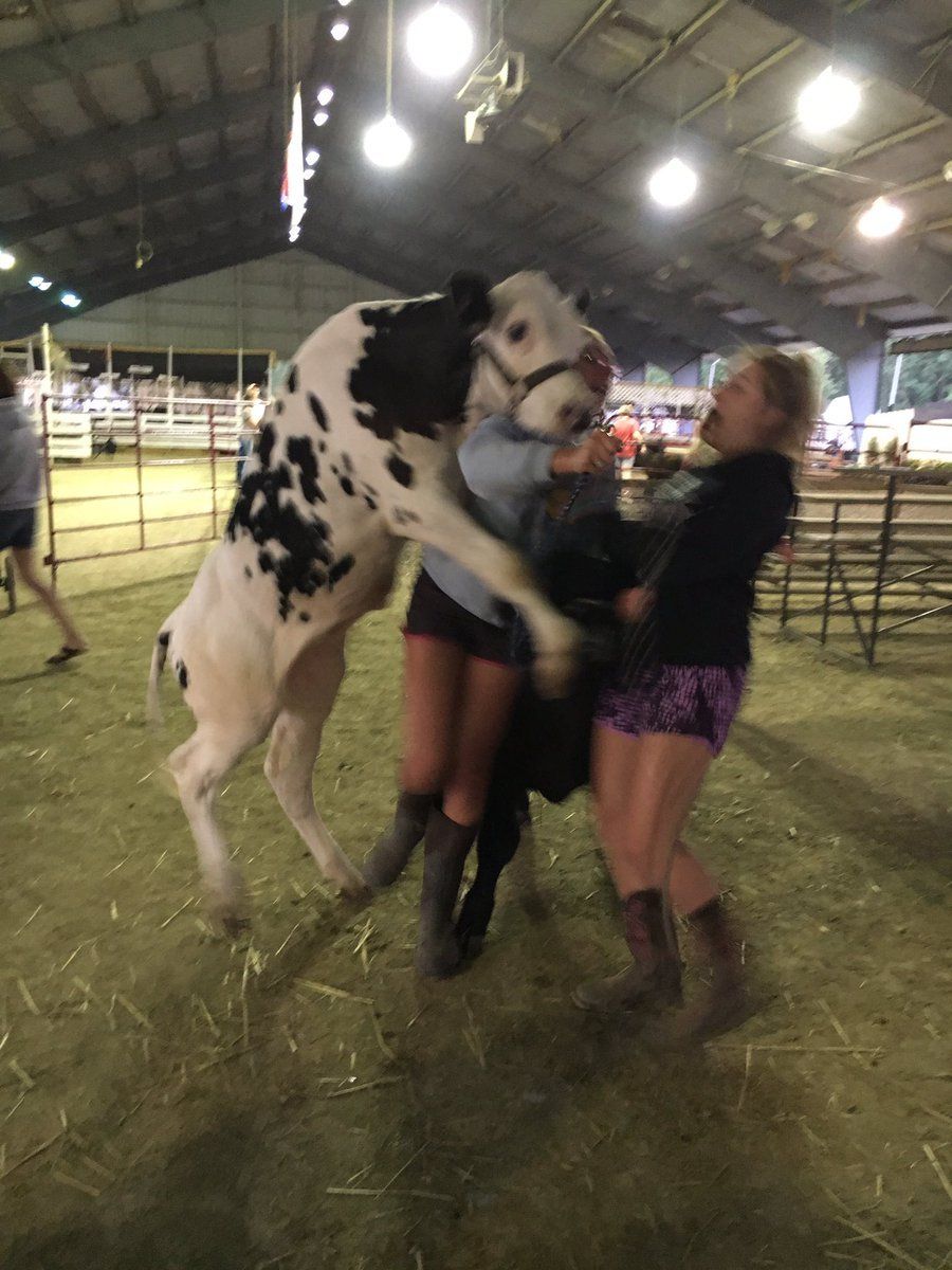 moo b1tch