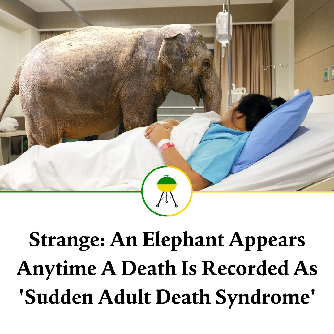 mRNAlephant