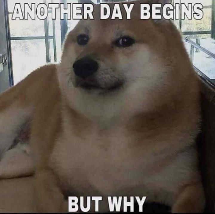 ***