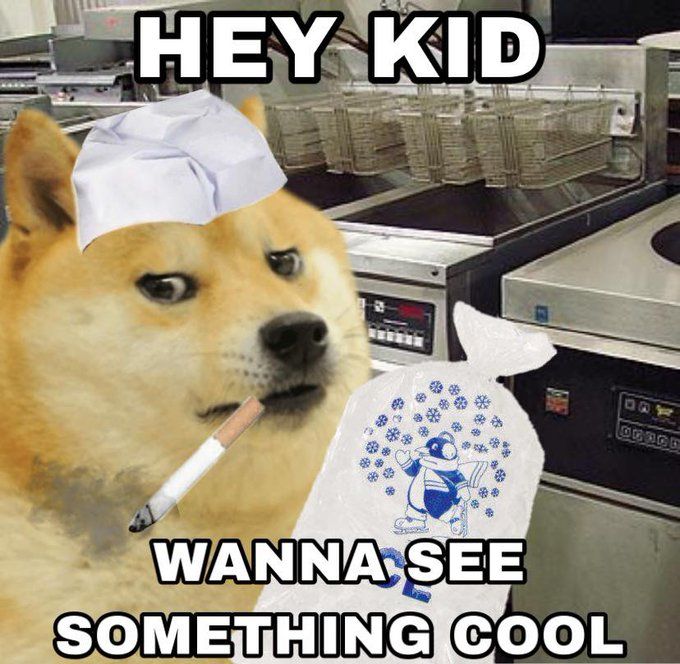 what the dog doin'?