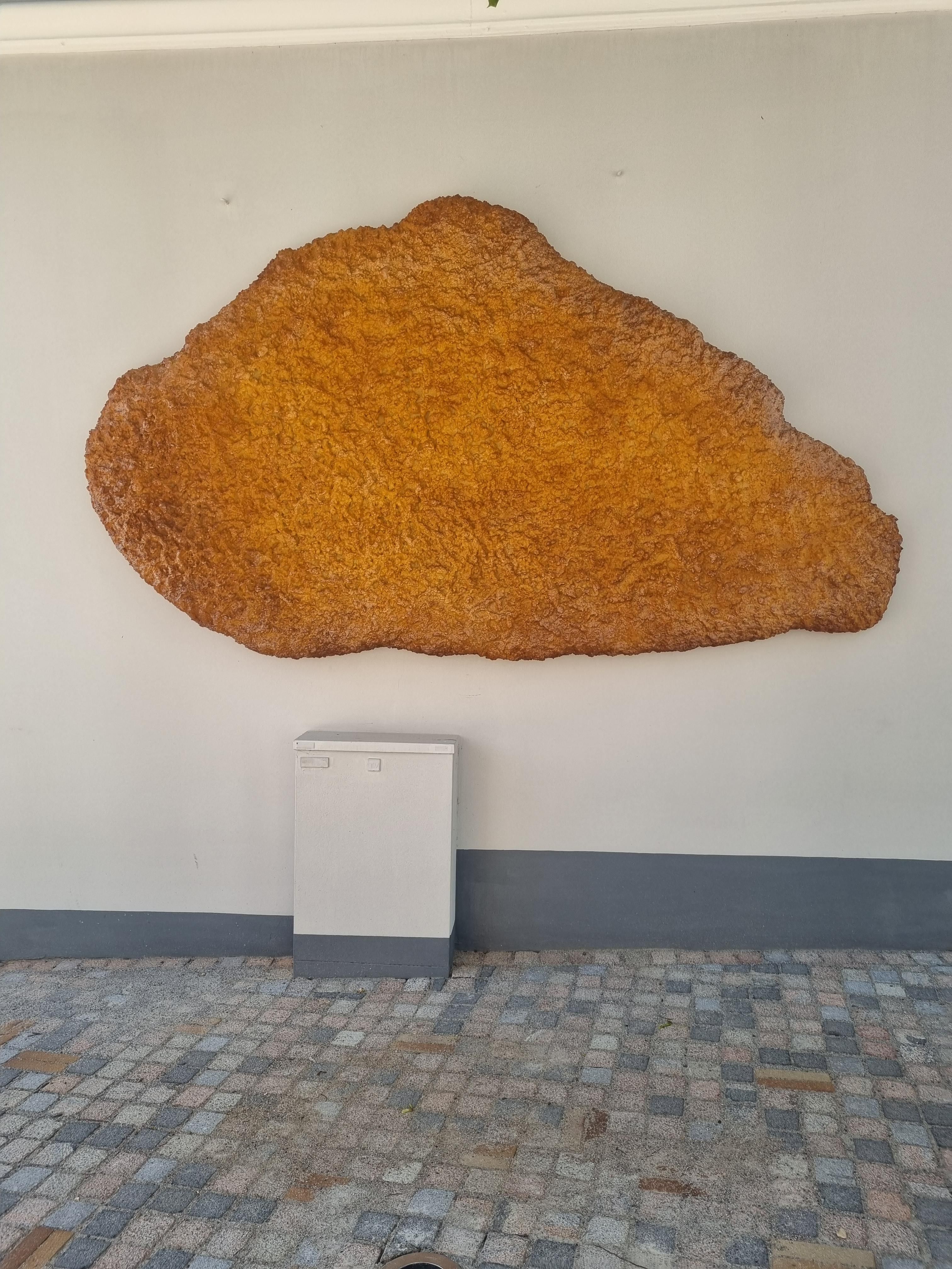 My town put up a 108kg fish fillet, as an art piece