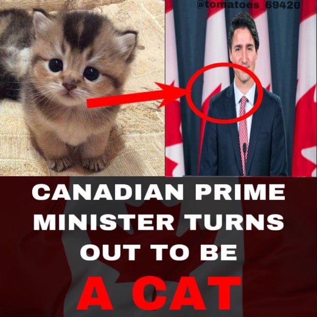 what a pussy