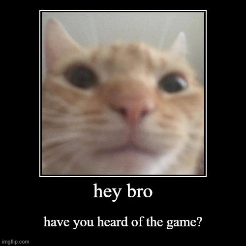 Despite my best efforts to come in contact with the admins my efforts are futile