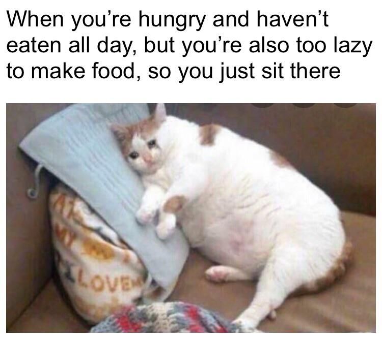 sadness