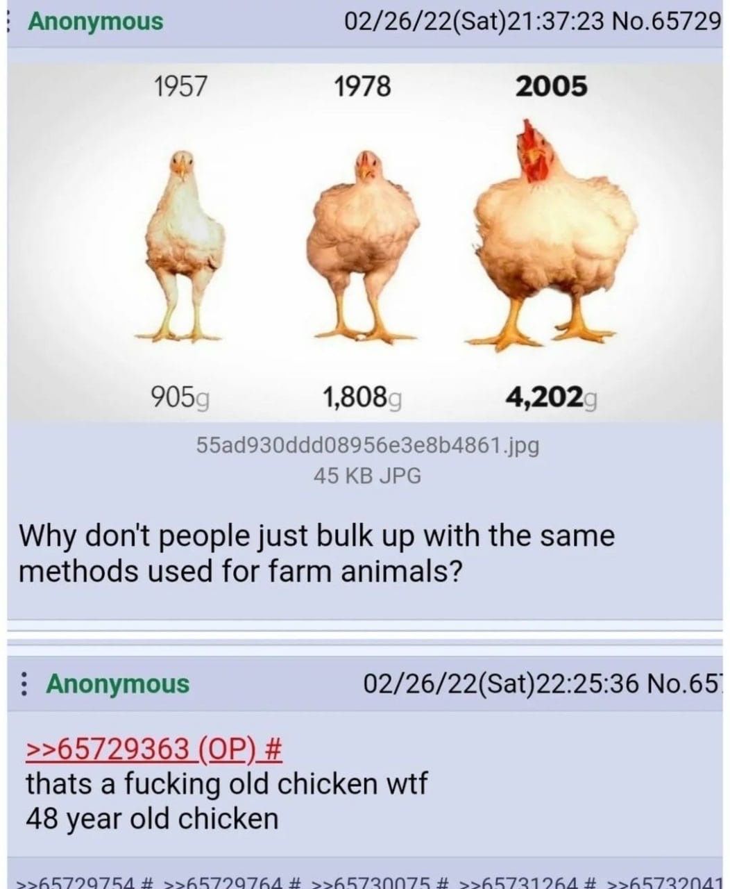 chicken