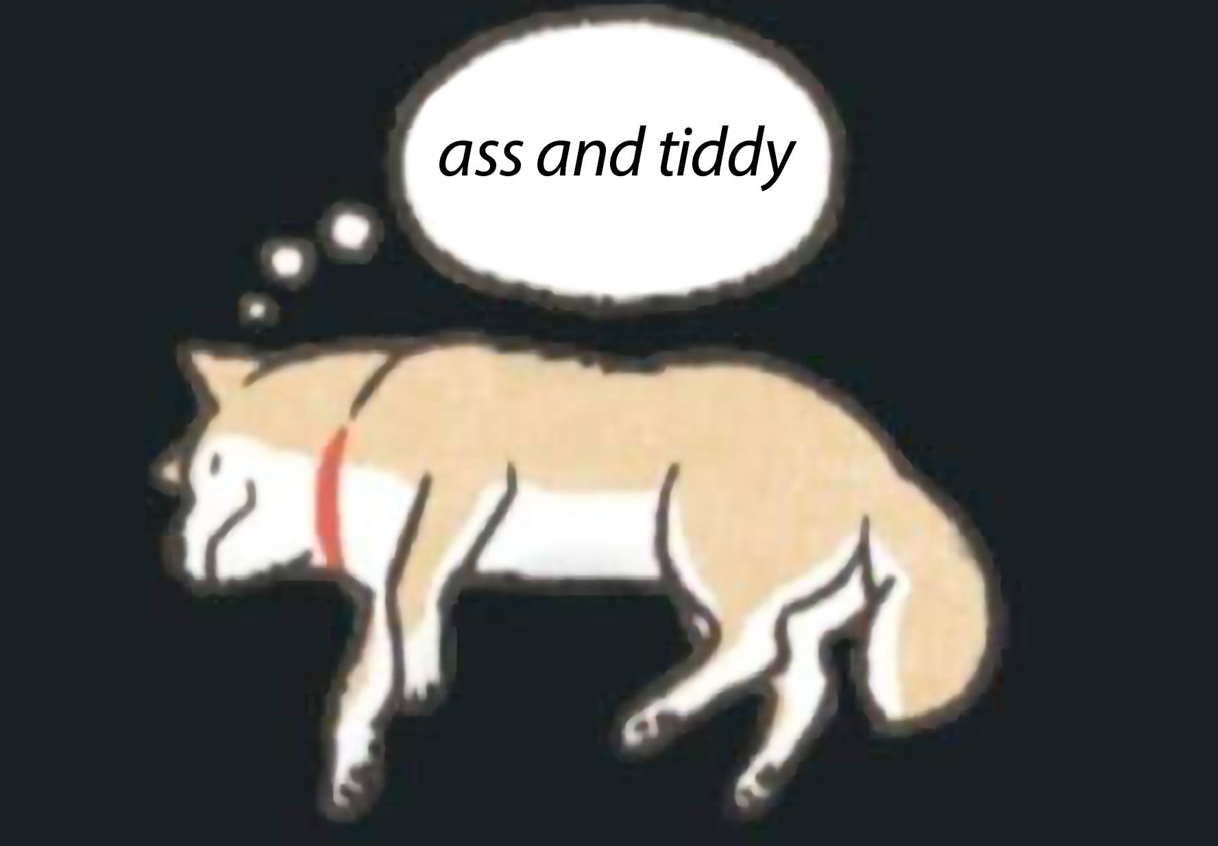 dog