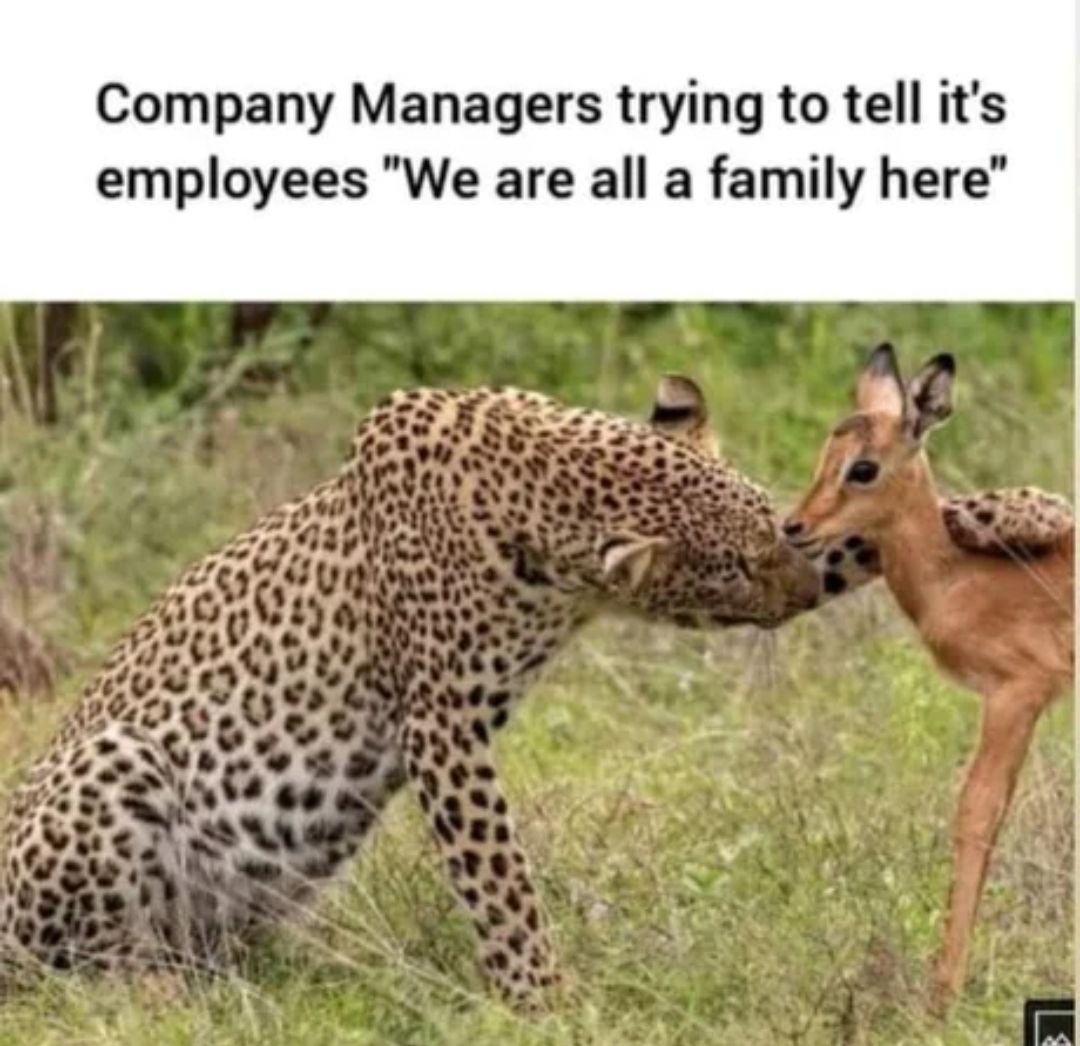 There's a strict power hierarchy, the secretary got sore knees and employees get treated like kids