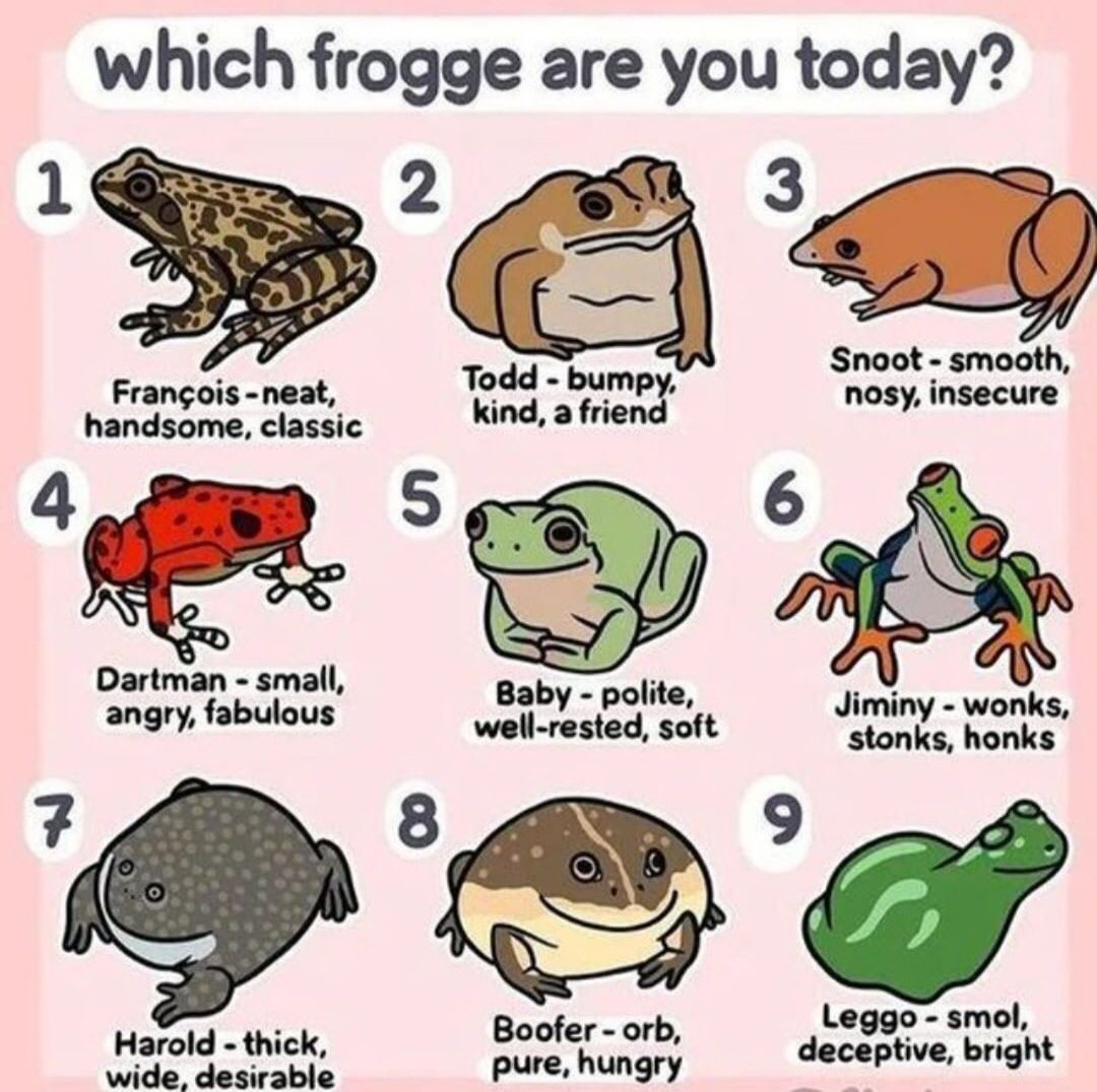 I better not see any fr*ncois in here