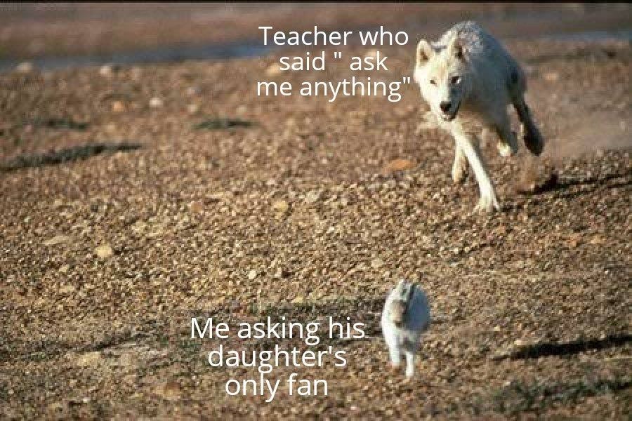 gib