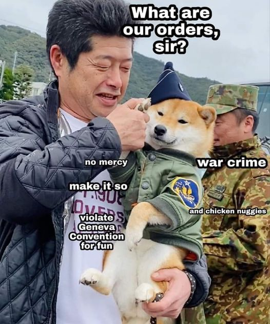 commit crime