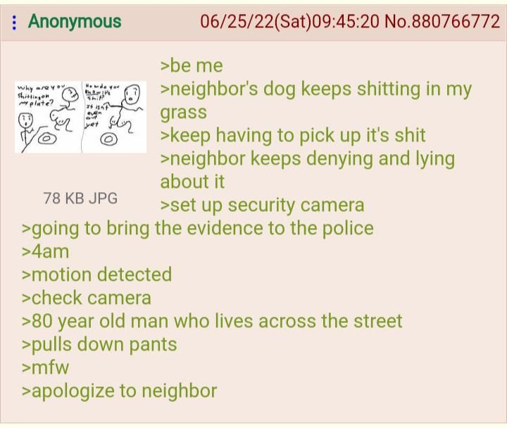 not the dog