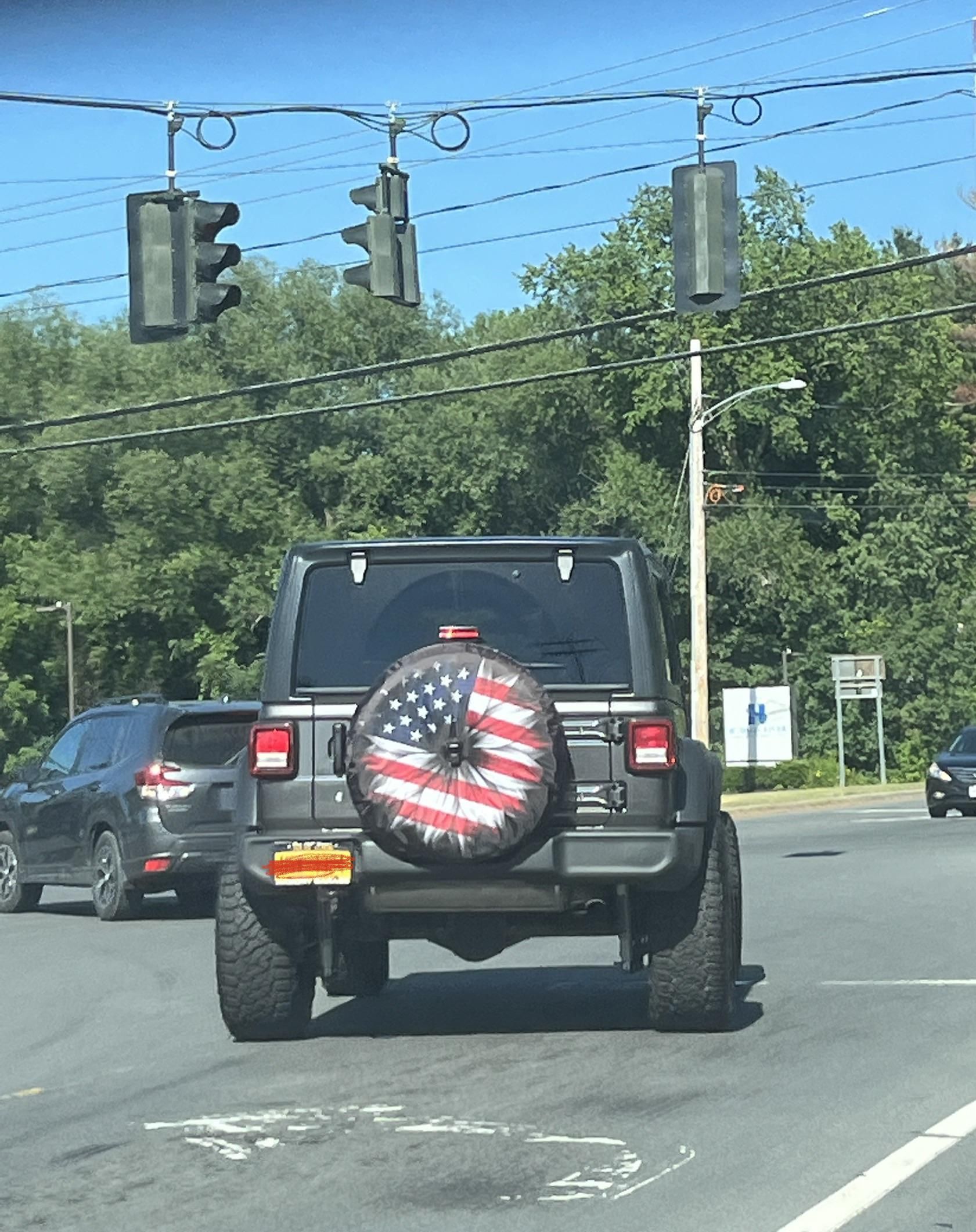 Today I spotted a patriotic butthole