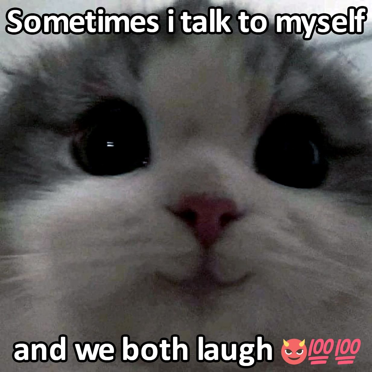 xdd