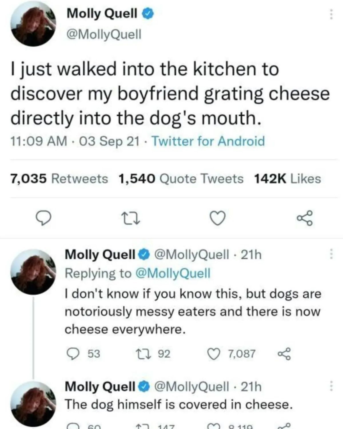 a grate day for the dog
