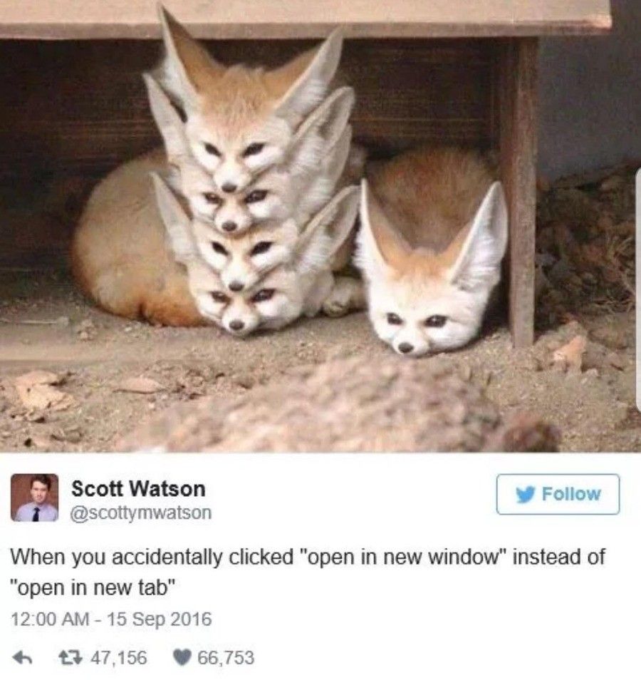 dos