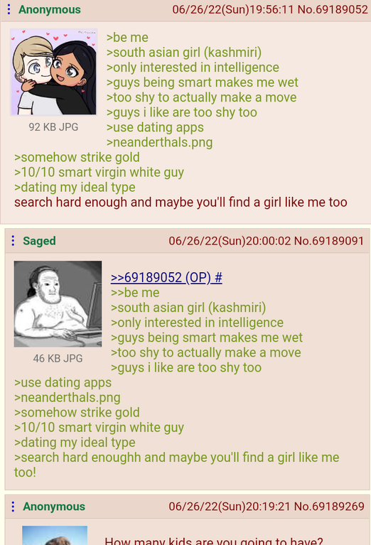 anon made up a fantasy